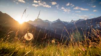 Bussalp Bussalp