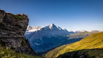 Mirador "First View