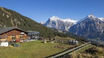 Restaurante de montaña Bussalp 1